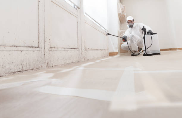 24/7 Emergency Mold Cleanup experts in Troutdale, OR