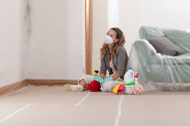 Reliable Mold Cleanup contractor in Troutdale, OR by Cheap Mold Removal