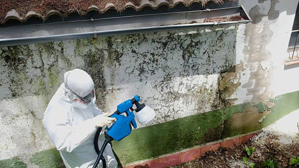 Top rated local Mold Cleanup specialists in Troutdale, OR